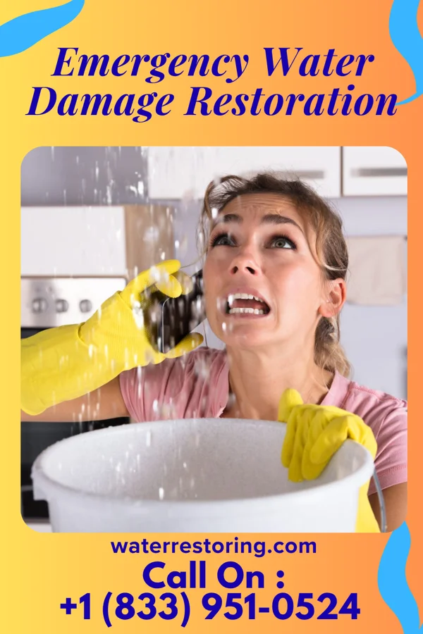 Emergency Water Damage Restoration in Dunseith, ND