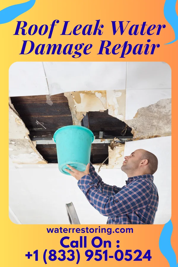 Roof Leak Water Damage Repair in Dunseith, ND