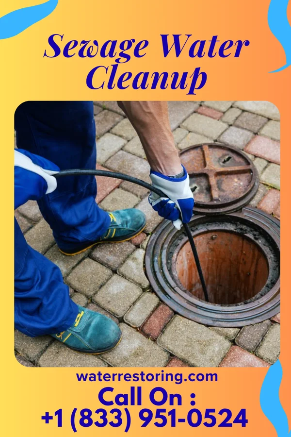 Sewage Water Cleanup in Dunseith, ND